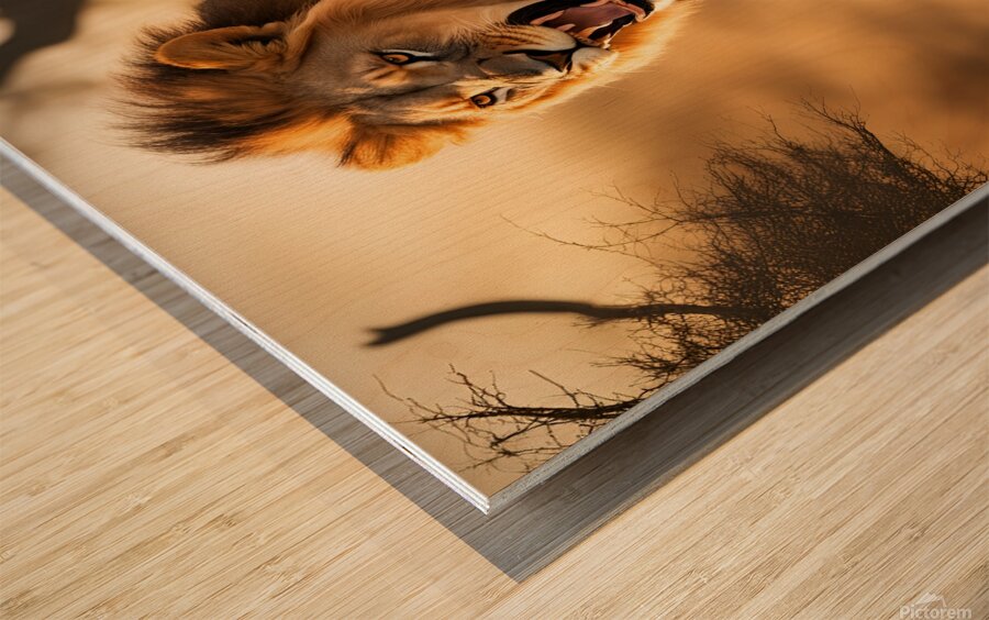  King of the jungle Wood print