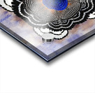 A Cascade of Plumage Acrylic print