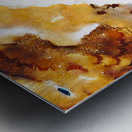 Red Desert Metal print