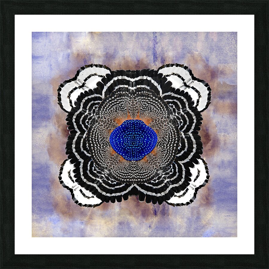 A Cascade of Plumage Picture Frame print