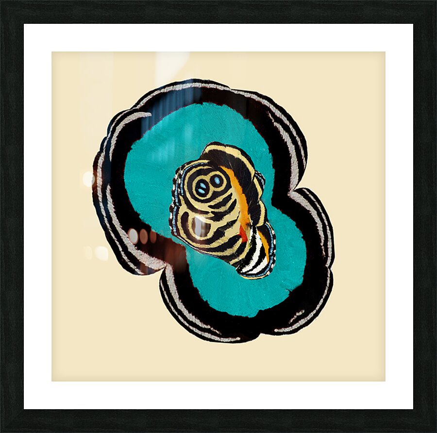 Memoir of the Eighty Eights Picture Frame print