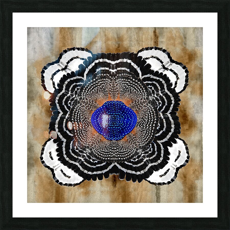 Hawk Bloom Impression et Cadre photo