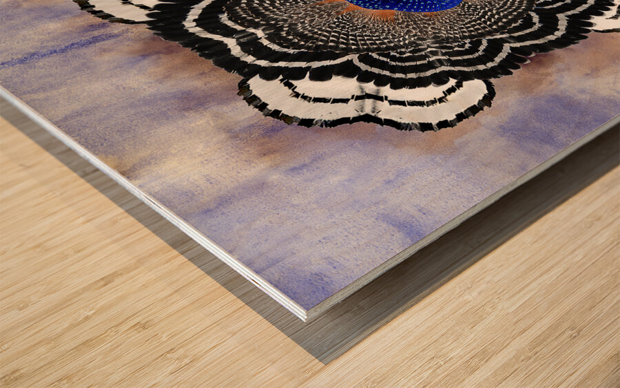 A Cascade of Plumage Wood print