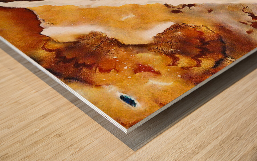 Red Desert Wood print