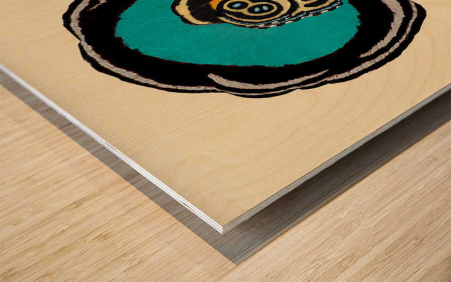 Memoir of the Eighty Eights Wood print