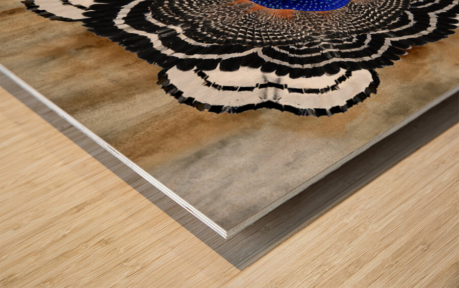 Hawk Bloom Impression sur bois