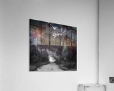 Tree Tunnel Acrylic Print