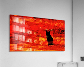 Red Hot Black Cat Acrylic Print
