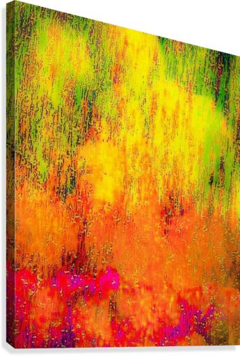 Color On Water 1 Canvas Print