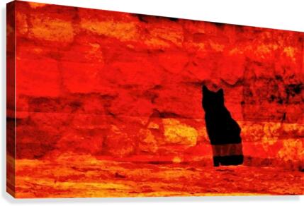 Red Hot Black Cat Canvas Print