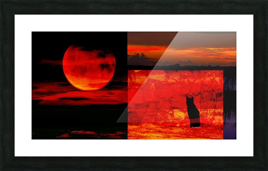Red Hot Cool Cat Picture Frame print