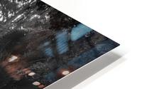 Tree Tunnel HD Metal print