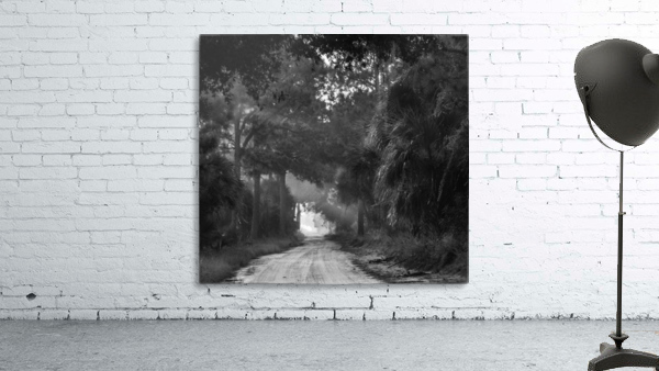 Tree Tunnel Wall Preview