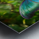 vibrant butterfly Metal print