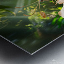 vibrant butterfly Metal print