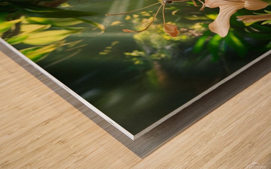 vibrant butterfly Wood print