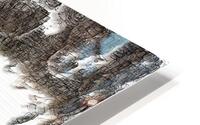 Carbon HD Metal print