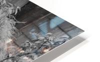 jjoplin3 HD Metal print