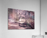 Surviving Adversity Acrylic Print