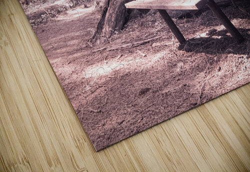 Surviving Adversity BeyondVisibleImages puzzle