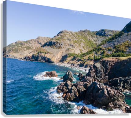 Seawall Trail 8 Canvas Print