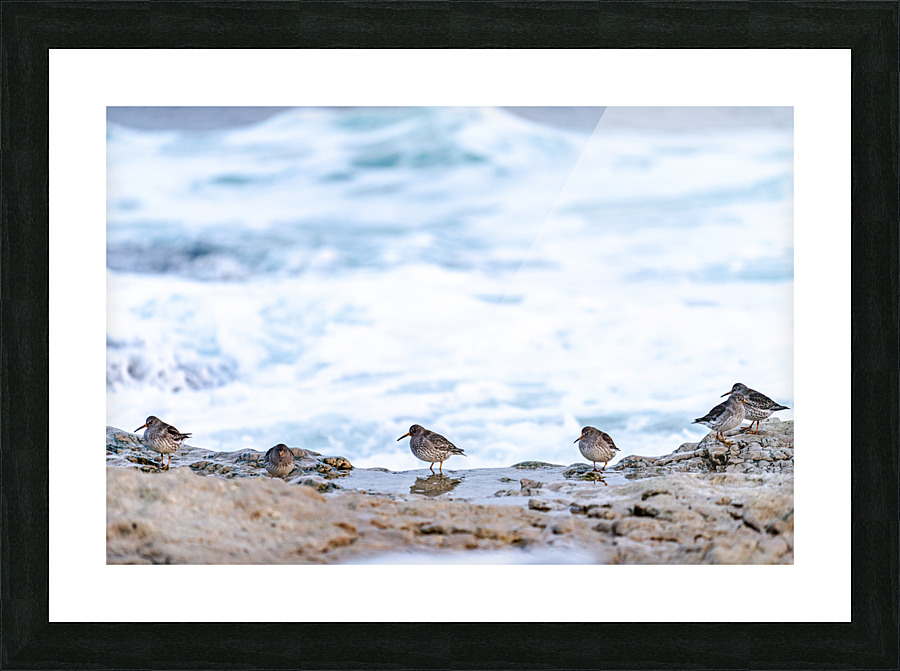 Neils Harbour  10  Picture Frame Printing