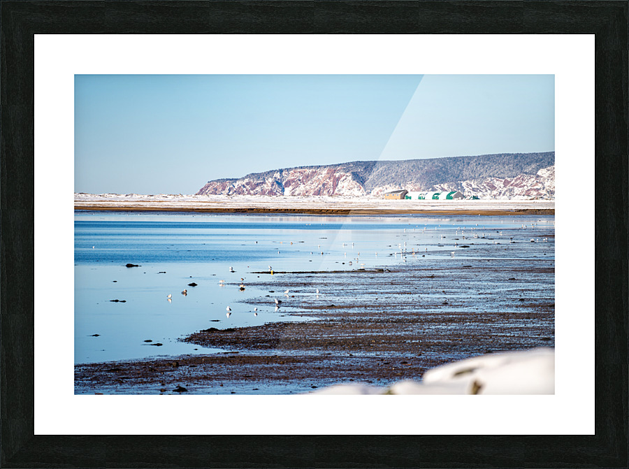 Advocate Harbour 7 Picture Frame Printing