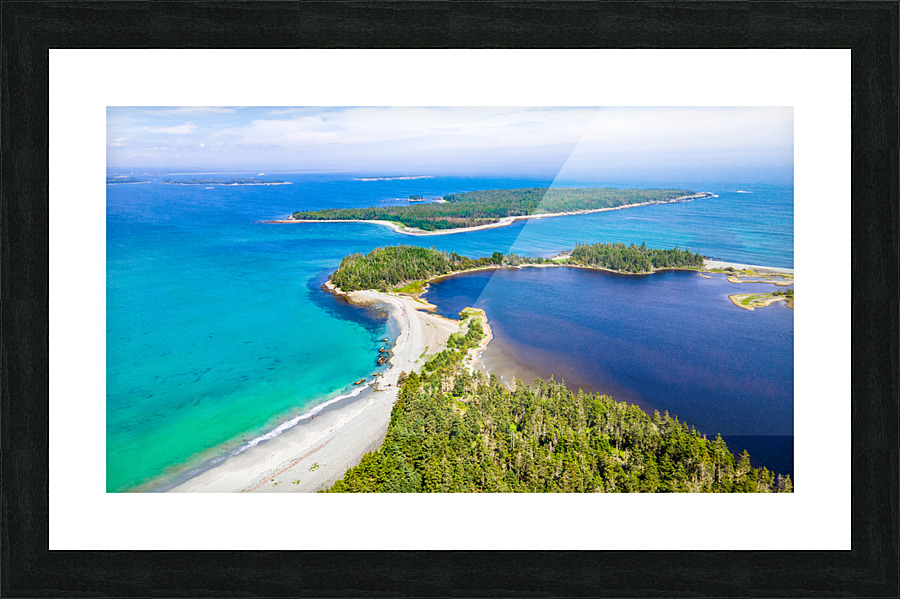 Taylor Head 13 Picture Frame Printing