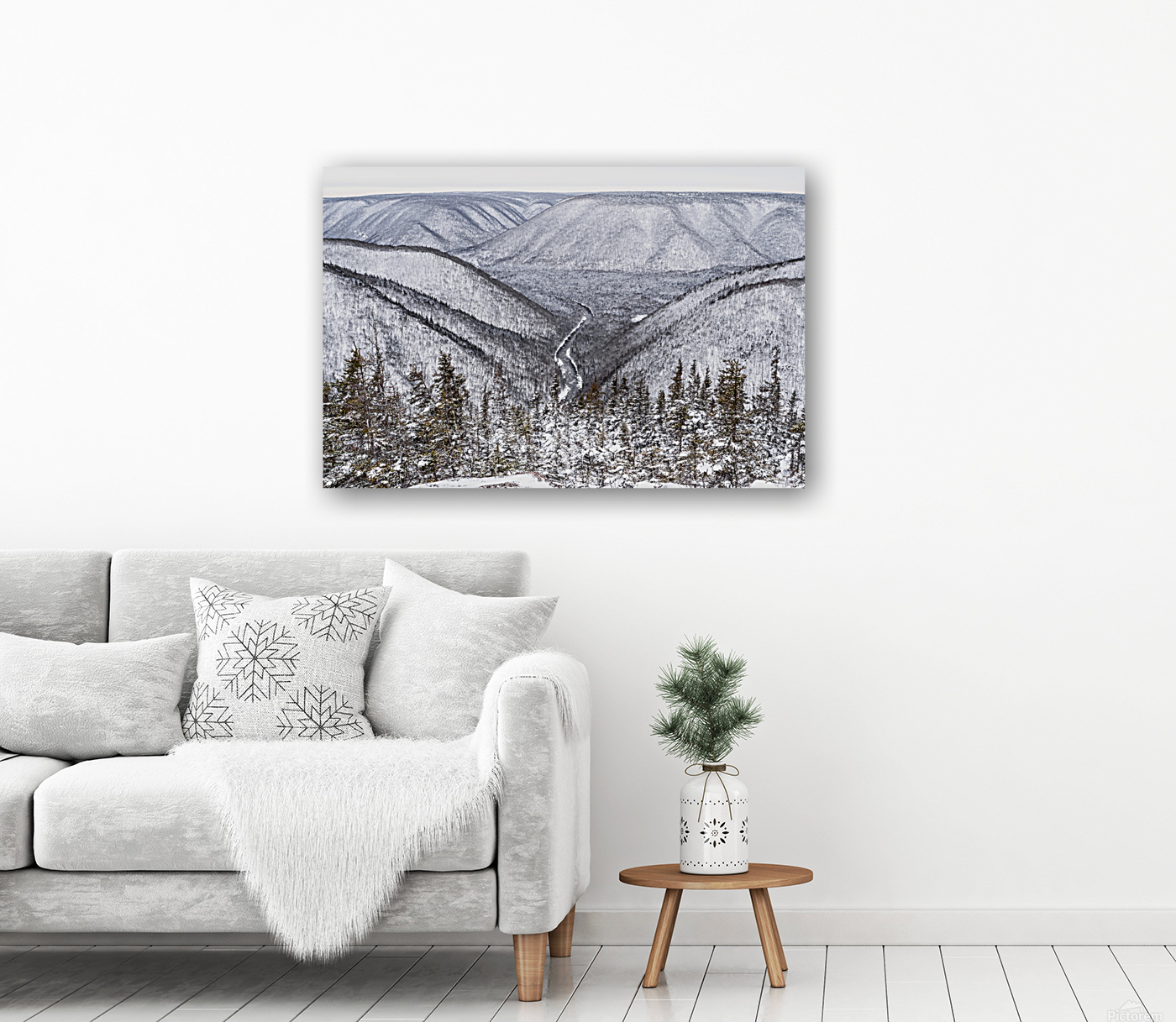 Cape Clear Winter Reproduction