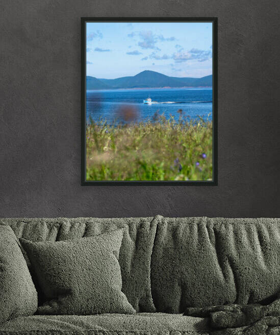 white point 2 Reproduction