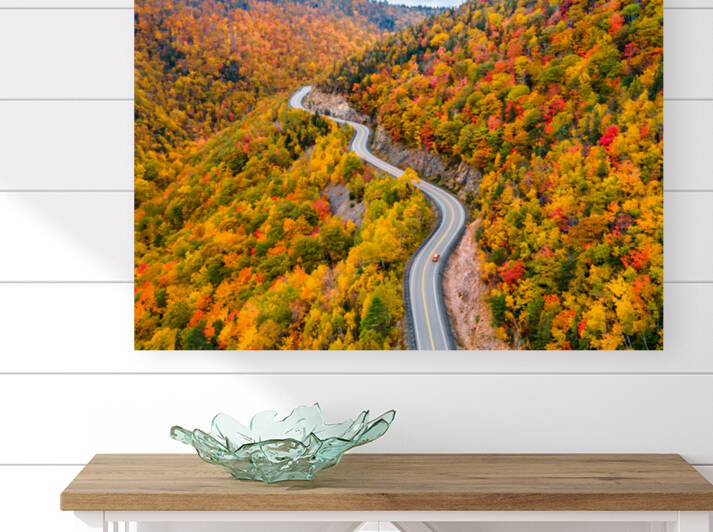 North Mountain Reproduction
