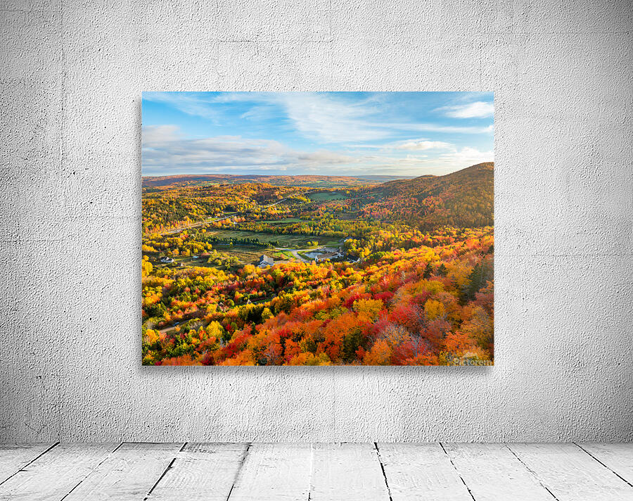 Glenora Wall Preview