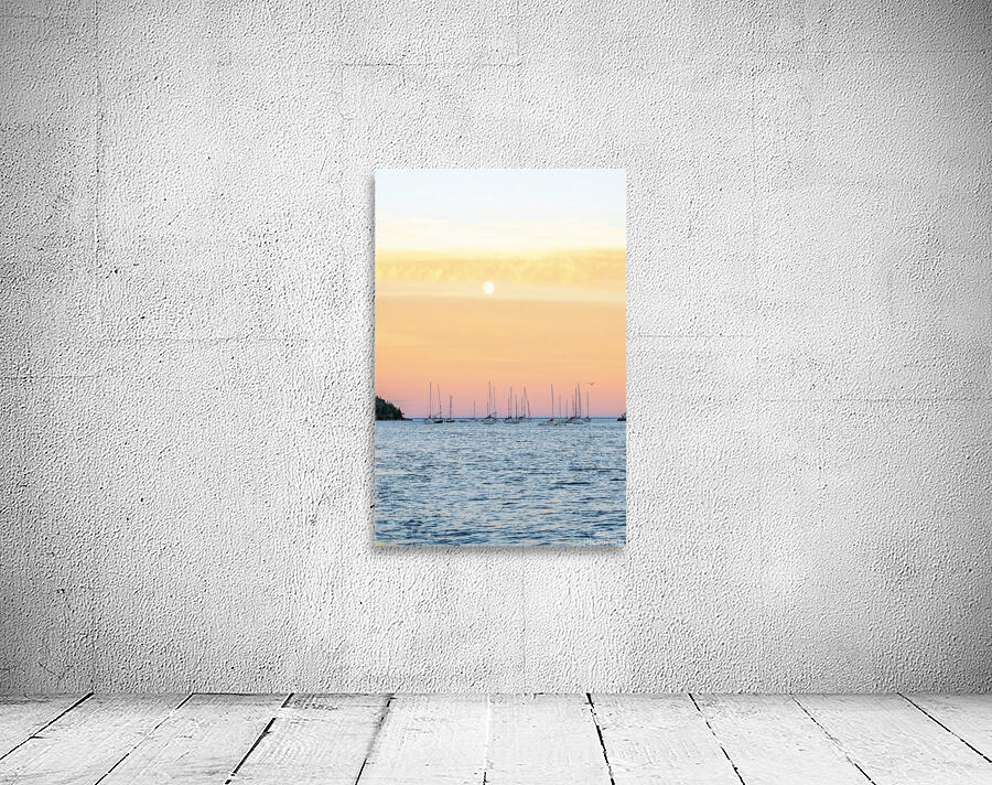 JFSailing13 Wall Preview
