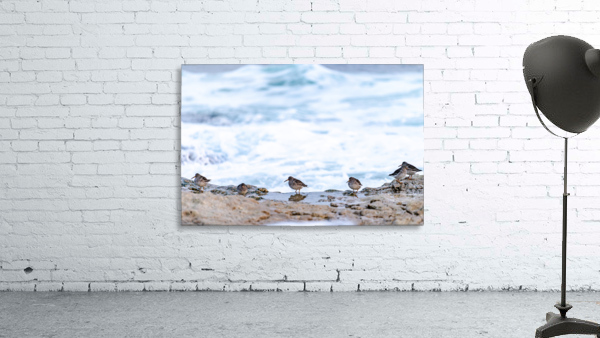 Neils Harbour  10  Wall Preview