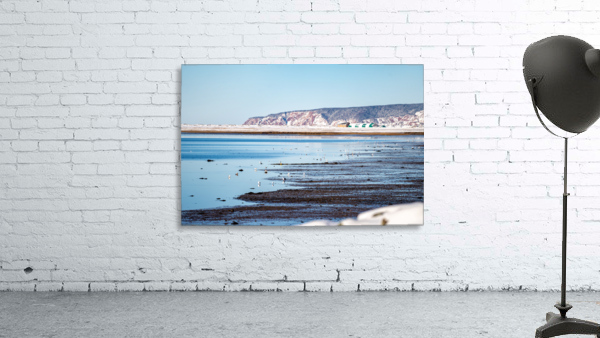Advocate Harbour 7 Wall Preview