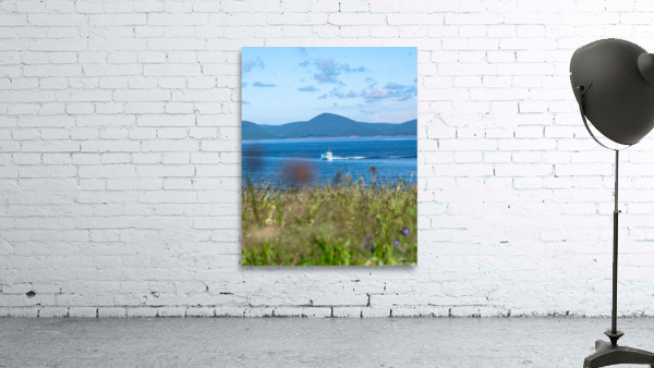 white point 2 Wall Preview