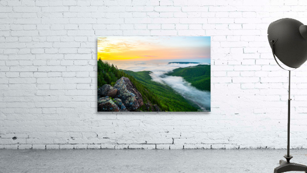 Franey Wall Preview