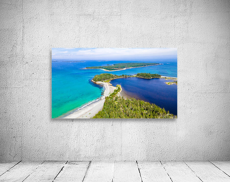 Taylor Head 13 Wall Preview