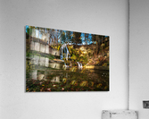Lucky Waterfall Acrylic Print