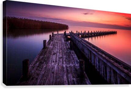 Lake Neusiedl Canvas Print