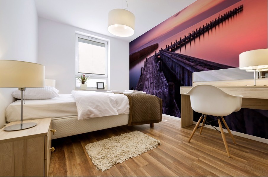 Lake Neusiedl Mural print