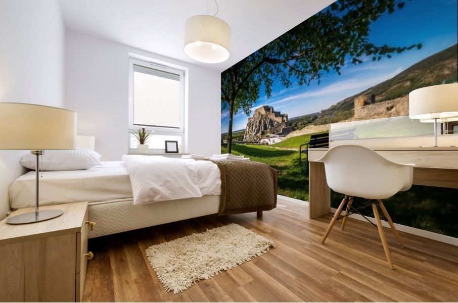 Devín Castle Mural print