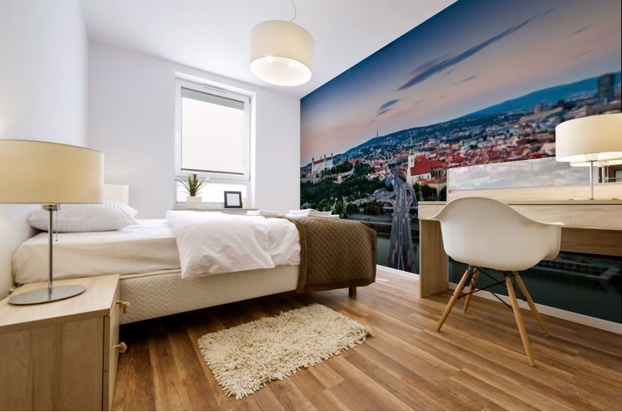 Bratislava Mural print