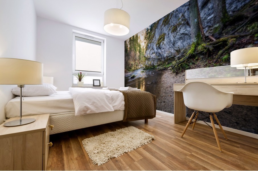 Slovak Paradise Mural print