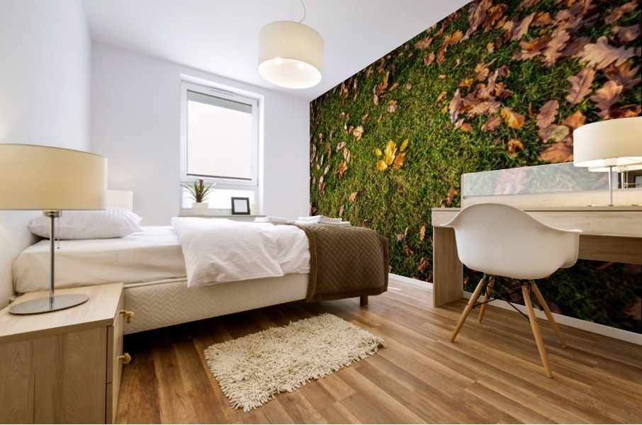 Maple leaf in autumn Mural print
