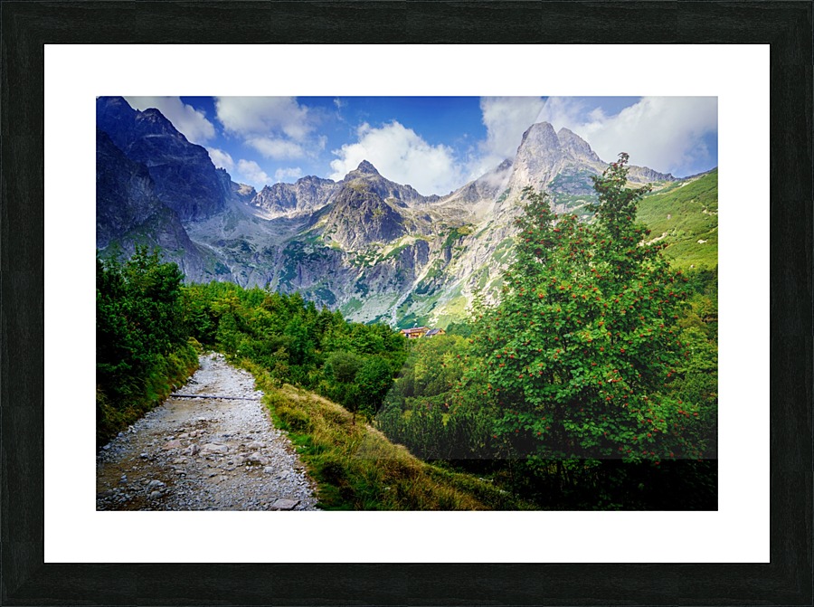 Mountain cottage at the Zelene pleso Picture Frame print