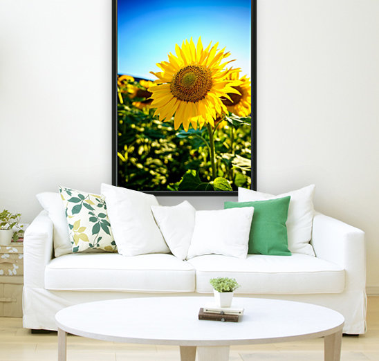 Sunflower Reproduction