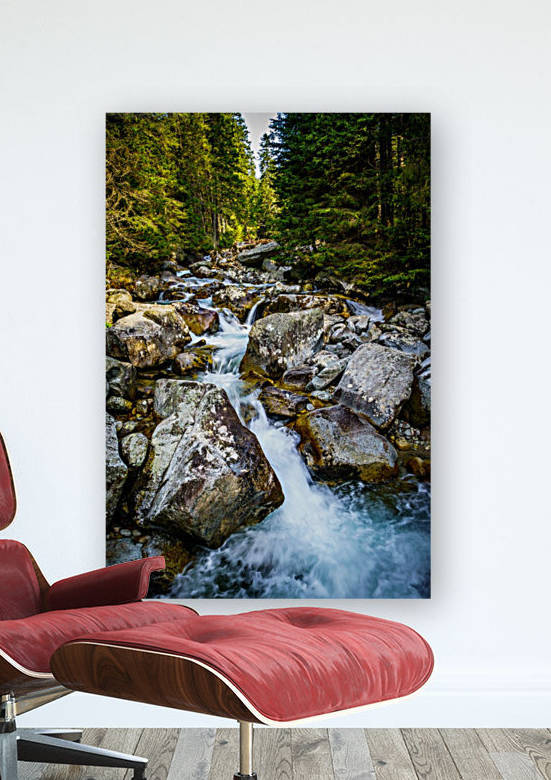 a river gorge leading down from Zelene Pleso by zoltanduray
