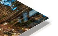 Lucky Waterfall HD Metal print