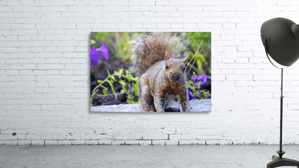 Looking for me Wall Preview